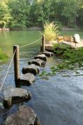 Stepping Stones on Lake